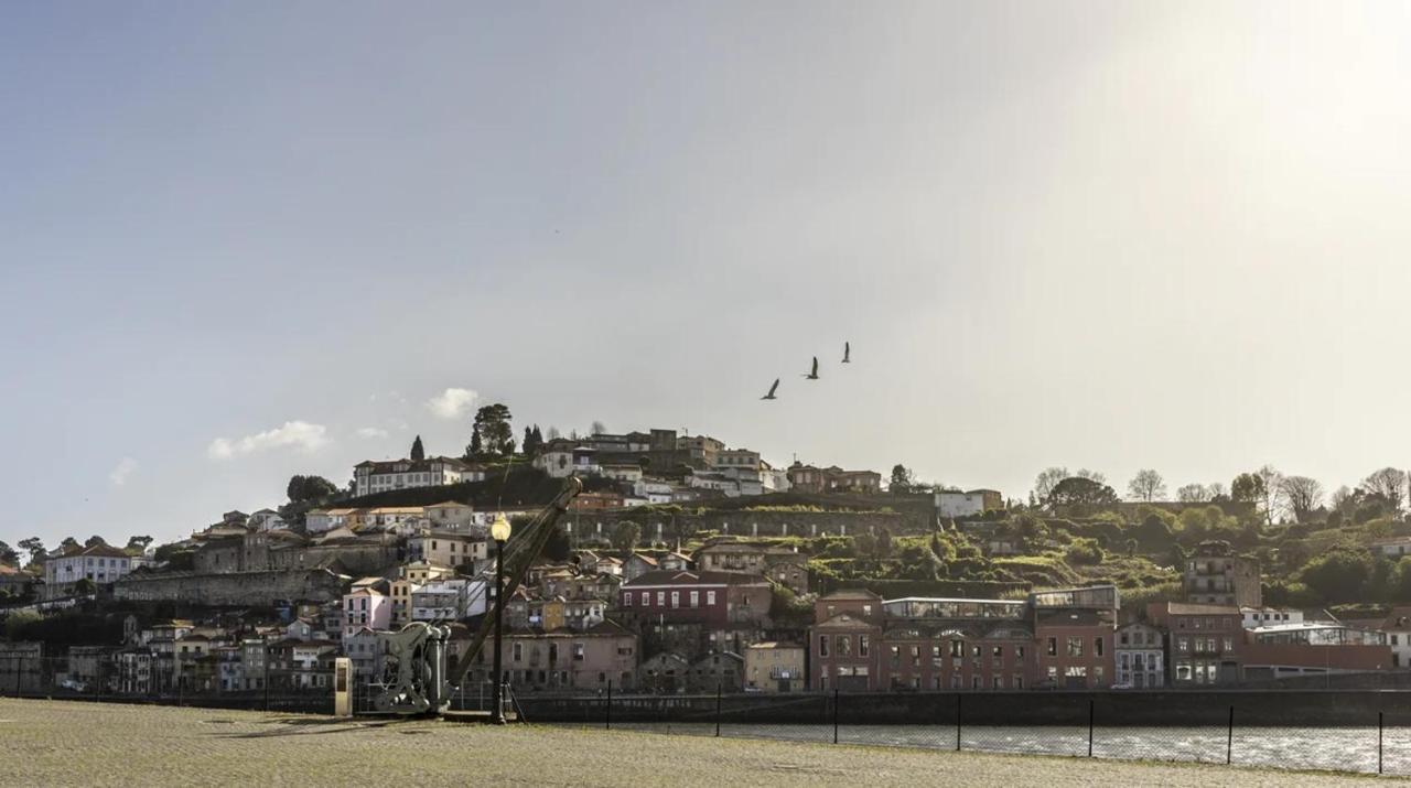 Wonderful Porto Design Apartments Exterior photo